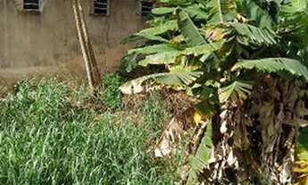 Imagem 2: Terreno em Itinga