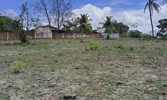 Imagem 6: Excelente Fazenda com 150 hectares na região de São Gonçalo do Amarante