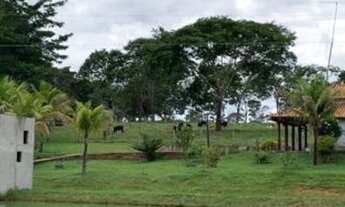 Imagem: Chácara 3,5 Alqueires 20 km de Aragoiania