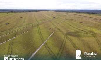 Imagem 3: Fazenda em Lizarda - TO