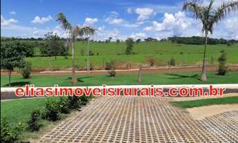 Imagem 7: Chácara luxo - Apenas 9 km de Uberlândia