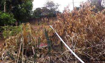 Imagem 2: Terreno comercial à venda, Jardim Bela Vista, Valinhos