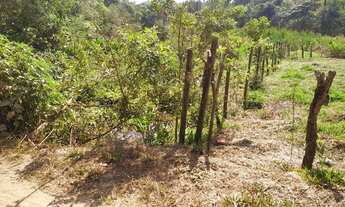 Imagem 4: Área de 3600 metros quadrados, Região de Farofas