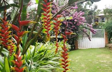 Imagem 3: Um Cantinho florido