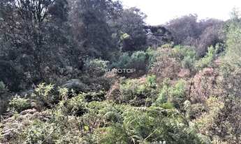 Imagem 5: Terreno a venda no Santo Antão!