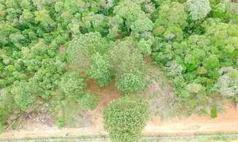 Imagem 2: Terreno com vista espetacular Campos do jordão à 5 minutos do Capivari