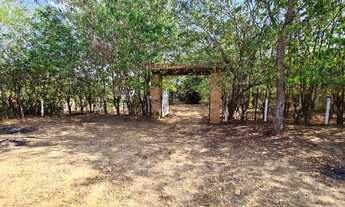 Imagem 2: Sítio/Casa com 6 Quartos à Venda,5000 m² por R$ 380.000