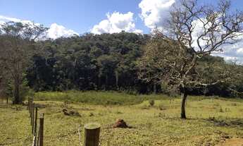 Imagem: Terreno 3600m² - Dom Joaquim