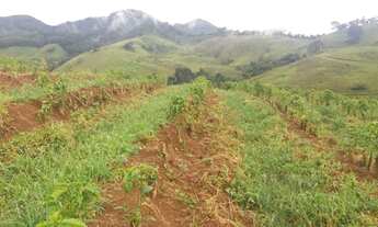 Imagem 2: Fazenda de café orgânico no sul de Minas