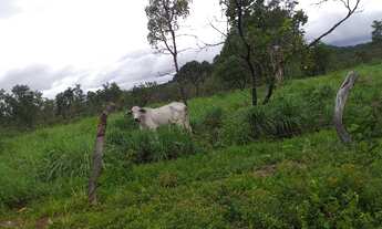 Imagem 6: Chácara Chácara com venda por R$300.000