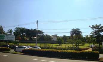 Imagem 2: ÁREA EM AVENIDA NA ENTRADA DA CIDADE