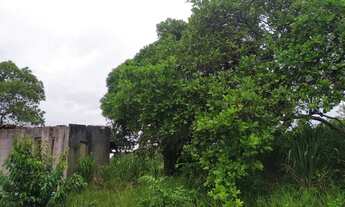 Imagem 5: Sítio com cerca de 6 hectares em Goiana/PE