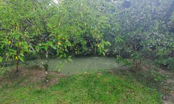 Imagem 5: Chácara 6 hectares Para Lazer em Sete Barras, SP (Willian Ricardo