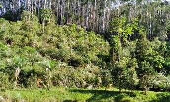 Imagem 4: Área Rural para Venda em Nova Trento / SC no bairro Serravel