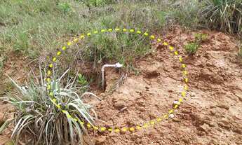 Imagem 5: CHÁCARA QUELUZITO - ESCRITURA INDIVIDUAL - AGUA E LUZ - 20.000 m²