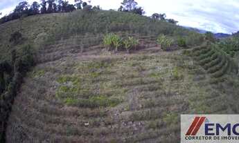 Imagem 7: Sitio a venda em Jacutinga- Minas Gerais
