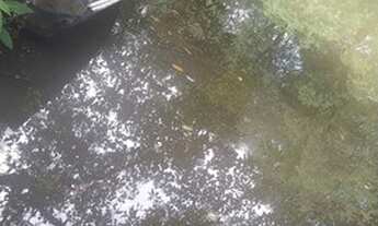 Imagem 6: VENDO AREA 45 X 150 MARACANÃ