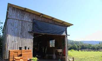 Imagem 7: Sitio com Estufas(Produção Tomate e Pepino )em Rolante na Localidade de Campinas