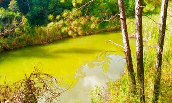 Imagem 4: Terreno para venda no interior - São Paulo
