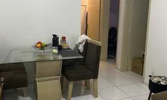 Imagem 3: Oportunidade 2/4 nascente parte alta