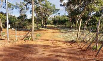 Imagem 3: Chácara no Núcleo Rural Morumbi com 3.500 metros, 175.000