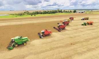 Imagem 7: Fazenda de 865 ha Em Antônio João - MS