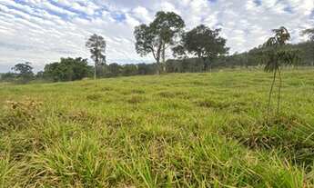 Imagem 3: Terreno com área de 2,5 ha em Sítio Novo - Mateus leme/MG