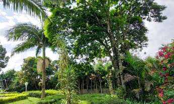 Imagem 7: CHACARA RESIDENCIAL em CABREÚVA - SP, Pinhal