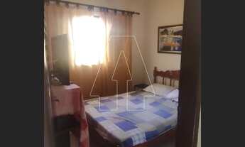 Imagem 4: Santo Antônio do Aracanguá - Fazenda/Sítio - Macaúba