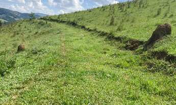 Imagem 4: K46-Saiado stress de São Paulo!!