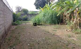 Imagem 7: BELO HORIZONTE - Loteamento/Condomínio - Santa Amélia