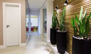 Imagem 6: Excelente apto 2 quartos com 1 vaga