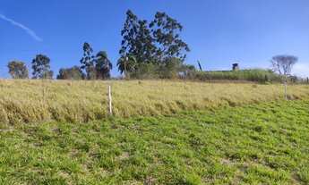 Imagem 7: Venha para Cotia - Caucaia - São Paulo