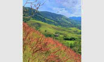 Imagem: Casa Residencial à venda, Centro, Monteiro