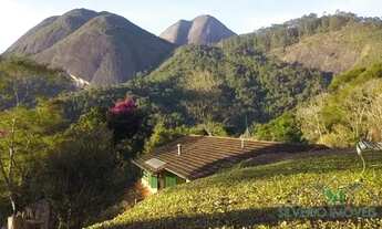 Imagem 6: Sítio- Petrópolis, Itaipava