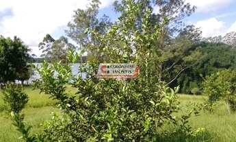 Imagem 2: Terreno Oportunidade São Bernardo do Campo - SP - Taquacetuba