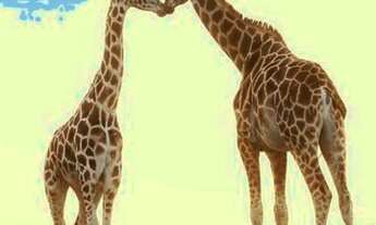 Imagem 4: TERRENO COMERCIAL em CAMPINAS - SP, CAMBUÍ