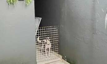 Imagem 7: CASA DE 03 QUARTOS NO CONJ AUGUSTO MONTENEGRO NO LÍRIO DO VALE 2