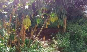 Imagem 6: CASA PRÓXIMO AO CENTRO