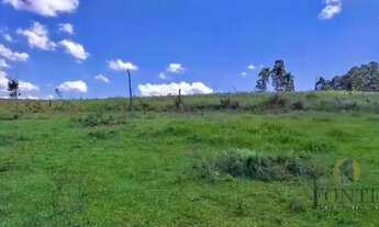 Imagem 6: AREA RURAL A VENDA EM ANITA GARIBALDI