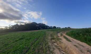Imagem 4: Lote/Terreno para venda com 600 metros quadrados em Centro (São João Novo) - São Roque - S
