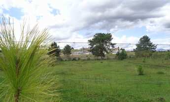 Imagem 3: Linda Chácara completa com tudo!