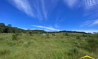 Imagem 7: Sítio de 5,9 ha em Lomba Grande - Novo Hamburgo - RS