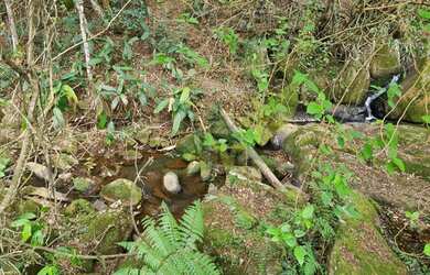 Imagem 6: Lindo sítio à Venda em Piracaia