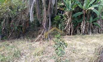 Imagem 4: Terreno à venda, 6866 m² por R$ 2.950.000,00 - Crispim - Pindamonhangaba/SP