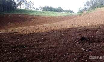 Imagem 7: GRAMADO - Terreno Padrão - CARAZAL