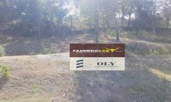 Imagem 2: Fazenda de Oportunidade ! Região de Goiás Velho ! 189 Alqueires !