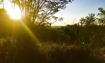 Imagem 6: Sitio Laranjal Paulista S. Paulo