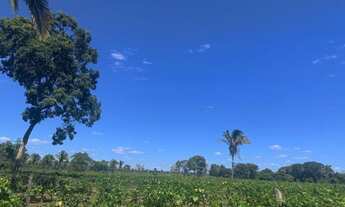 Imagem 7: Fazenda a venda em araguaína-to