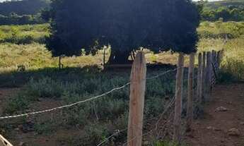 Imagem 3: Fazenda Sitio Belo, 620 Tarefas - Lajedinho-Ba